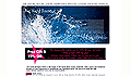 screenshot of the Yacht Boutique web site